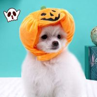 ฮาโลวีน halloween accessories น่ารักน่ารักๆ พร็อพถ่ายรูป หมวกสำหรับสุนัข ชุดคอสตูม ผ้าโพกศีรษะ อุปกรณ์เสริมสำหรับสัตว์เลี้ยง หมวกสัตว์เลี้ยงหมวก เครื่องมือสำหรับสัตว์เลี้ยง ตกแต่งฮาโลวีน