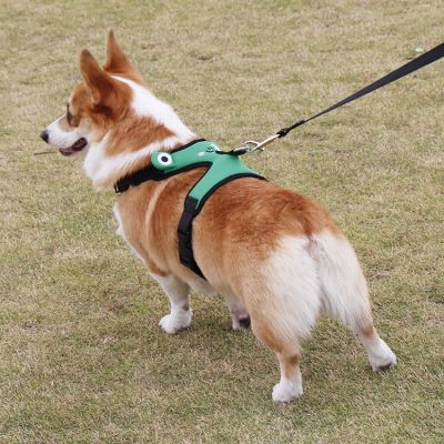 ✵✔ Pet It Frog Leash ตาข่ายสำหรับสัตว์เลี้ยง Breathable Small Dog Chest Back Retractable Walking Leash Pet Harness Wholesale