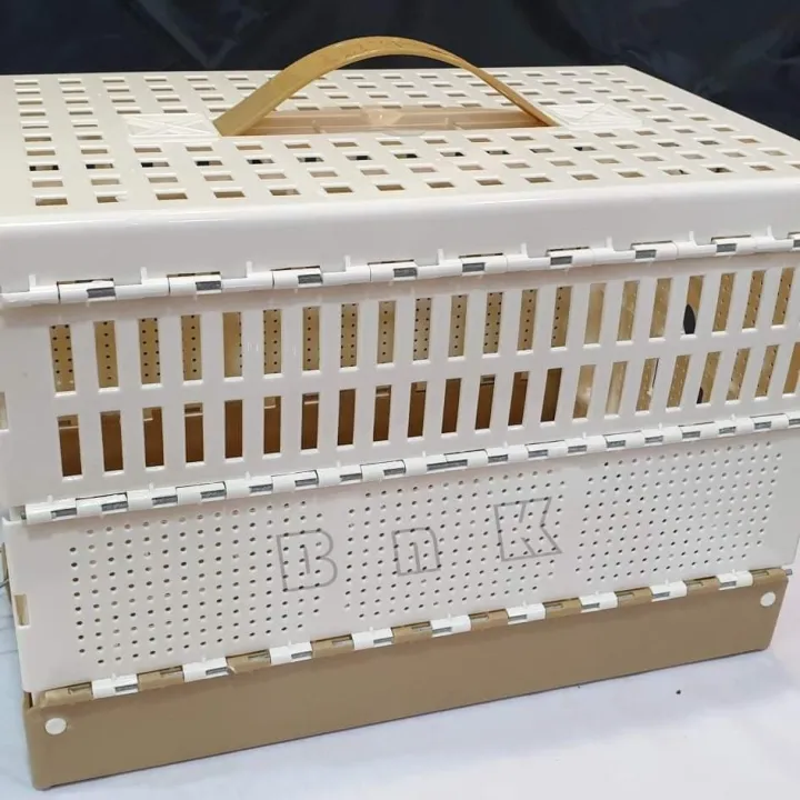 Pigeon Training Box 34 pigeons Lazada PH