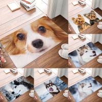 Customizable Anti-slip Balcony Corridor Mat Small Rug Home Decor Cute Husky Dog Printed Entrance Door Mat Rug