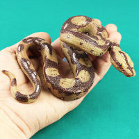 การจำลอง Python Solid Wildlife Biological Model Snake Children Toys CollectionM