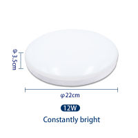 LED Ceiling Light 12W 24W PIR Motion Sensor Modern Lamp Surface Mounted Auto Smart Sounds Control AC 110V 220V Round Panel Light