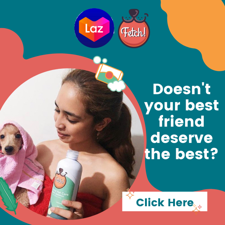 Fetch! Neem Natural Shampoo for Dogs and Cats- Anti Tick & Flea for ...