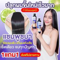 ปลายทางส่งฟรีแท้100%ส่งไวโปร(1 แถม 1)แชมพูชบา แชมพูลดผมร่วง+ ครีมนวดชบา Chaba Herbal Shampooลดผมร่วง