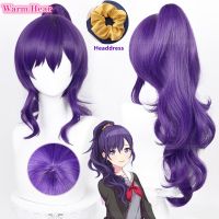 Asahina Mafuyu Wig Anime Project SEKAI COLORFUL STAGE! Cosplay Wig Long 61Cm Dark Purple Ponytail Wig Heat Resistance Fibre Wigs