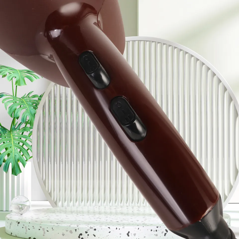 Daesol Professional Salon Hair Dryer Strong Powerful Hot Cold Wind Negative Ionic Blower Diffuser Electric Home Travel Blow Dryer