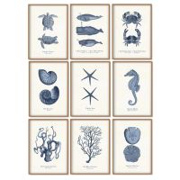 ✚☢❦ Fossil Fish Turtle Snail Star Tree Lukisan Kanvas Seni Dinding Antik Poster Nordic dan Gambar Dinding Cetak untuk Dekorasi เรืองตามู