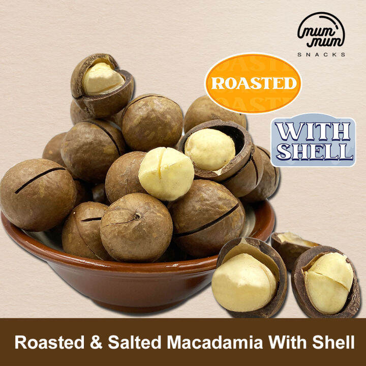 Roasted Macadamia Nut with Shell (Salted) comes with key to open Lazada