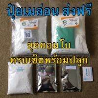 ?(Flash-Sale) ชุดคอมโบเซ็ตปุ๋ยเมล่อนพร้อมปลูก ได้ทั้งชุดปุ๋ย AB และจุลธาตุเสริมเมล่อน รวม 5 อย่าง สั่งก่อนได้ก่อน