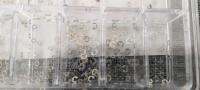 ：》《{ Assorted 12 Sizes Chronograph Clip Sp Ring Watch Pusher Button Circlip