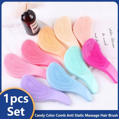 【CC】 Color Hot Handle Comb Anti Static Massage Hair Tangle Detangle Shower Hairbrush