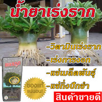 **สูตรเข้มข้น** น้ำยาเร่งราก ยาเร่งราก ฮอร์โมนเร่งราก วิตามินเร่งราก รากแข็งแรง ยาว ไม่กุด สารเร่งรากพืช 100 cc. เร่งรากแคคตัส