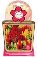 สร้อยไก่ ประดับแปลง คละสี Celosia Plumosa Mixed Colors  เมล็ดพันธุ์ดอกไม้ AGA เอกะ อะโกร