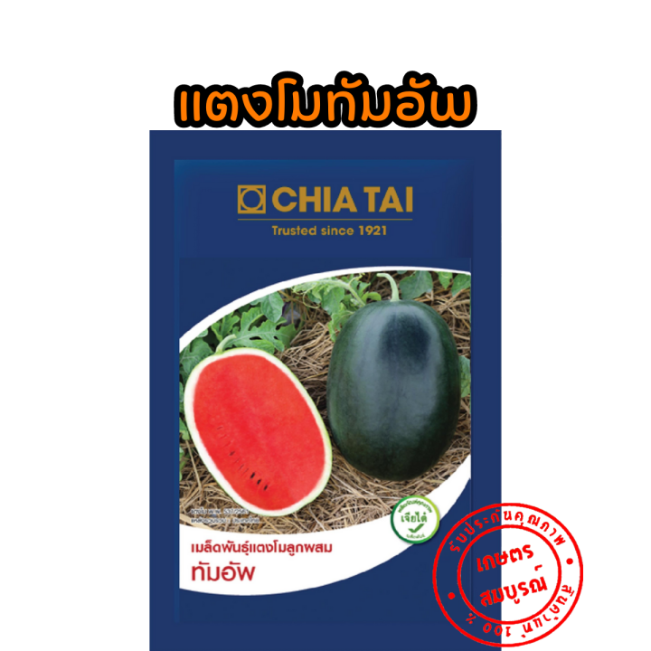 แตงโมทัมอัพ-เมล็ดพันธุ์แตงโมดำ-40-ก-ตราเจียไต๋-เนื้อแดง-เปลือกบาง-มีกลิ่นหอม