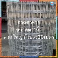 ตาข่ายลวด อย่างหนา ขนาดตา 1นิ้ว ลวดตาข่าย ขายยกม้วน 30เมตร สี่เหลี่ยม กรงไก่ กันงู กันหนู ดัก สัตว์ ตะแกรงลวด flashsale ลดกระหน่ำ