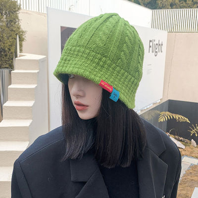 [hot]Womens Winter Knitted Hat Woolen Twist Fisherman Hat Autumn New Short Brim Stitching Beanie Basin Hat Girls Warm Casual Hat