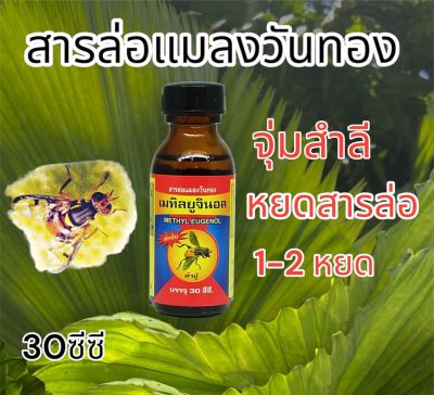 สารล่อแมลงวันทอง เมทิลยูจินอล(METHYL EUGENOL) ดักจับแมลงวันทอง ขนาด 30ซีซี