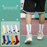 【jw】™  Compression Crossborder 2023 Supply Breathable Men Riding Cycling Over Knee Basketball Biking Hockey S