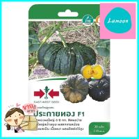 ฟักทองผลใหญ่ลูกผสม F1 ประกายทอง ศรแดงHYBRID PUMPKIN SEED F1 SORNDAENG PRAKAITHONG **ขายดีที่สุด**