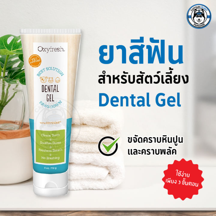 oxyfresh-113g-pet-dantal-gel-เจลทำความสะอาดฟันสำหรับสุนัขและแมว