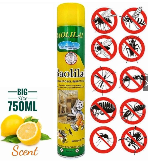 Mosquito killer AEROSOL INSECT SPRAY BIG BOTTLE INSECT KILLER CTR