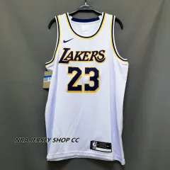 Lebron James #23 Blue Los Angeles lakers MPLS Jersey! for Sale