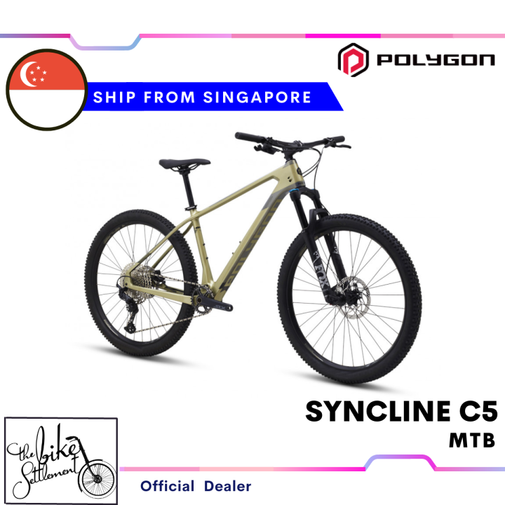 polygon syncline 2020