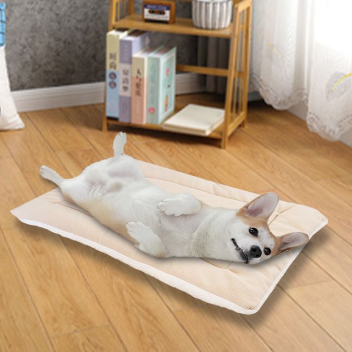 pets-baby-yzthe-dogmat-ตุ๊กตาเตียงสัตว์เลี้ยงเครื่องล้างทำความสะอาดได้สุนัข-pad-สำหรับสุนัขขนาดใหญ่ขนาดกลางแมวในร่มโซฟาข้น-softcushion