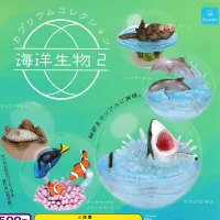 Spot 5 kinds of Japanese genuine qualia gastronomy marine life 2 shark dolphin micro-landscape biological model in the ball