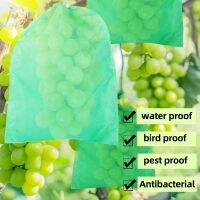 100PCS Garden Fruit Protection Bags Grape Apple Non-woven Fabric Breathable Anti-bird Pocket Pest Control