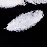 80 x Natural Ostrich Feather 25-30cm White Decoration Festivities