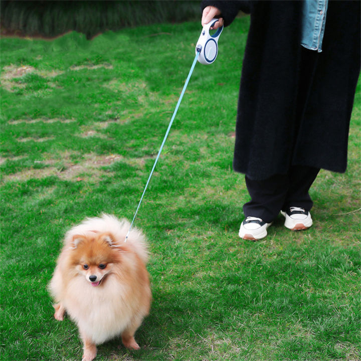 dog-lead-with-shock-absorption-anti-pull-dog-harness-hands-free-dog-leash-adjustable-dog-collar-reflective-dog-harness