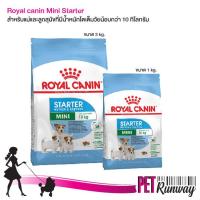 Royal Canin Mini Starter สำหรับแม่ลูกสุนัข ที่มีน้ำหนักน้อยกว่า 10 Kg (แบบตัวเลือก)