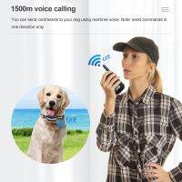 Dog Walkie-Talkie Intercom Control Dog Waterproof Hunting Pet Training Collar 1500M Electric Remote Rechargeable Collar Voice