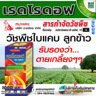 เรดโรดอฟ 1ลิตร (ควิซาโลฟอป-พี-เอทิล) กำจัดหญ้าใบแคบ ปลอดภัยต่อมันสำปะหลัง