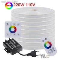 ชุด20pr3412 RGB Faixa Luz Corda Interruptor Toque Concontrole Remoto Lâmpada De Silicone Flexível Decoração Impermeável 24Key 220V 110V