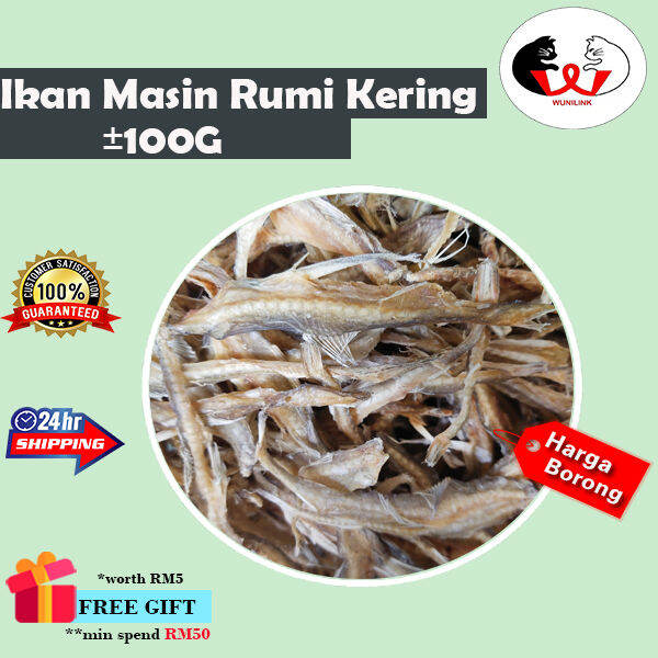 Ikan Masin Rumi Kering/ 西丁咸鱼 /Dried Sardine and salted fish [± 100G ...