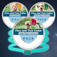 （A LOVABLE） Neue Reflektierende Leucht Anti Floh Amp; Ktick Kragen Für Hunde 8-Monat สัตว์เลี้ยง Prävention HND Anti-Parasitäre Katze