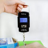 High Quality 50kg/110lb Digital Fish Scale Electronic Scale Portable Express Luggage Weight Hanging Scale Escala colgante Luggage Scales