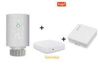 วาล์วเทอร์โมสแตติกหม้อน้ำ Zigbee พร้อมตัวรับ RF สำหรับหม้อไอน้ำก๊าซ