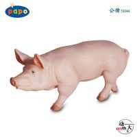 French PAPO childrens plastic simulation static animal model toy pendulum boar 51044 educational cognitive gift