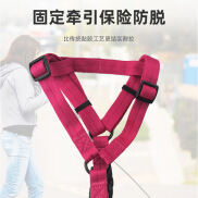 Dây Xích Chó Đi Dạo Dây Xích Chó Kiểu Áo Vest Cho Chó Nhỏ Corgi Bomei