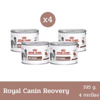 Royal Canin Recovery DOG/CAT Can 195g. x 4 cans  อาหารสัตว์ป่วย พักฟื้น สุนัข 195 กรัม X 4 กระป๋อง