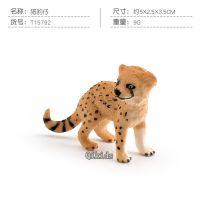 Realista Modelo สัตว์ซาฟารีเสือชีต้าเสือดาวหิมะ Pantera Panthera Panão Figuras Modelo Coleção Brinquedos Para Crianas Presente