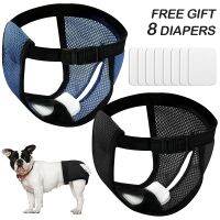 【CC】 Breathable Dog Diapers Washable Pant Adjustable Panties Mesh Female Diper Honden Kleding