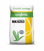 เมล็ดพันธุ์ข้าวโพด เอ็นเค NK 6253 เบอร์ 3.5 และ 3 หุน (กลมกลาง และ กลมเล็ก) (10 กก.) พันธุ์ยอดิต ต้นแข็งดี สีได้เนื้อ ทนทานโรค กำไรงาม