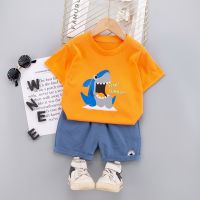 Kids Baby Boys Cotton Clothing Sets Toddler Infant Boy Tee Shirts + Shorts Children Wears T-shirt + Pants Outfits Suits 1 2 3 4 5 Years