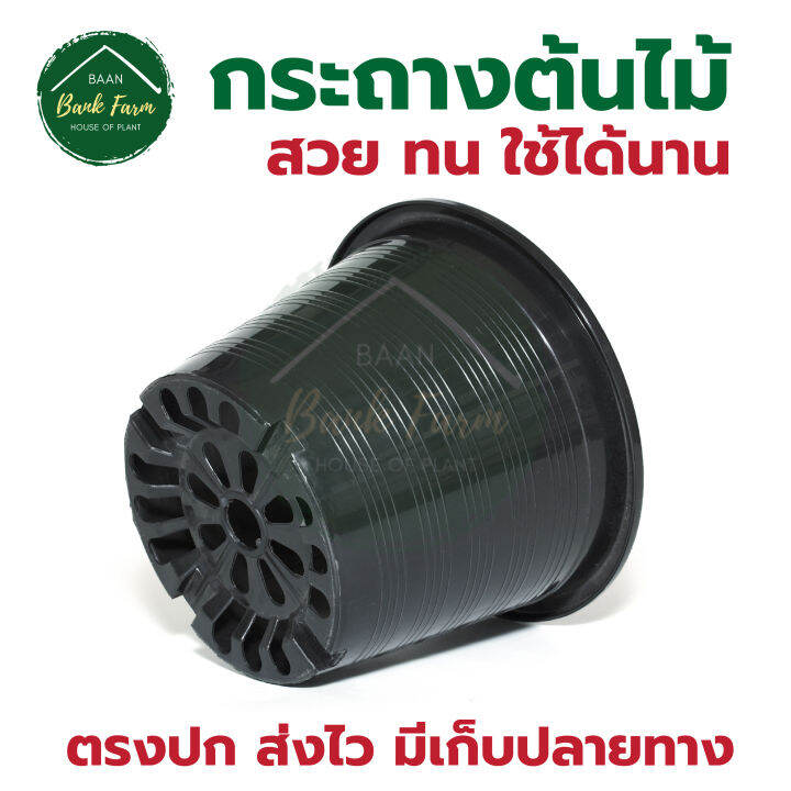 กระถาง9นิ้ว-สีดำ-1-50ใบ-กระถางราคาถูก-กระถางพลาสติก-กระถางต้นไม้-l-บ้านแบงค์ฟาร์ม