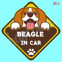 Woww สุดคุ้ม DIC2 สติ๊กเกอร์ ติดรถ Beagle Dog In Car สติ๊กเกอร์ติดรถ แต่งรถ car sticker ราคาโปร สติ ก เกอร์ ติด รถ สติ๊กเกอร์ ออฟ โร ด สติ ก เกอร์ ข้าง รถ กระบะ สติ ก เกอร์ ข้าง รถ สวย ๆ