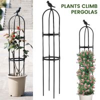 Garden Obelisk Trellis Plant Support Cages Stand Tomato Growing Tower Strong Tubular Frame Plant Climbing Structure Decoration